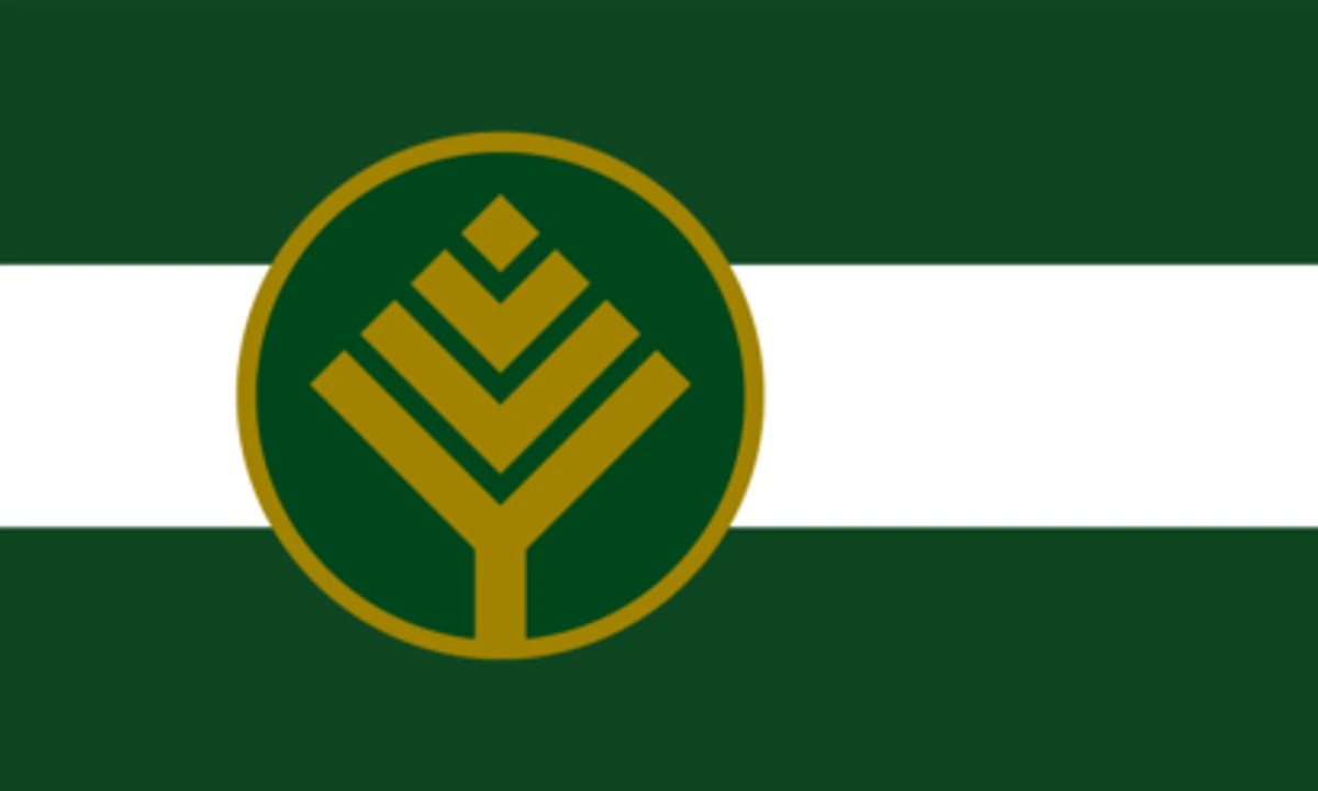 Lone Tree, Colorado area flag