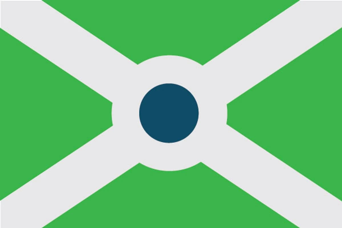 Washington Park neighborhood flag